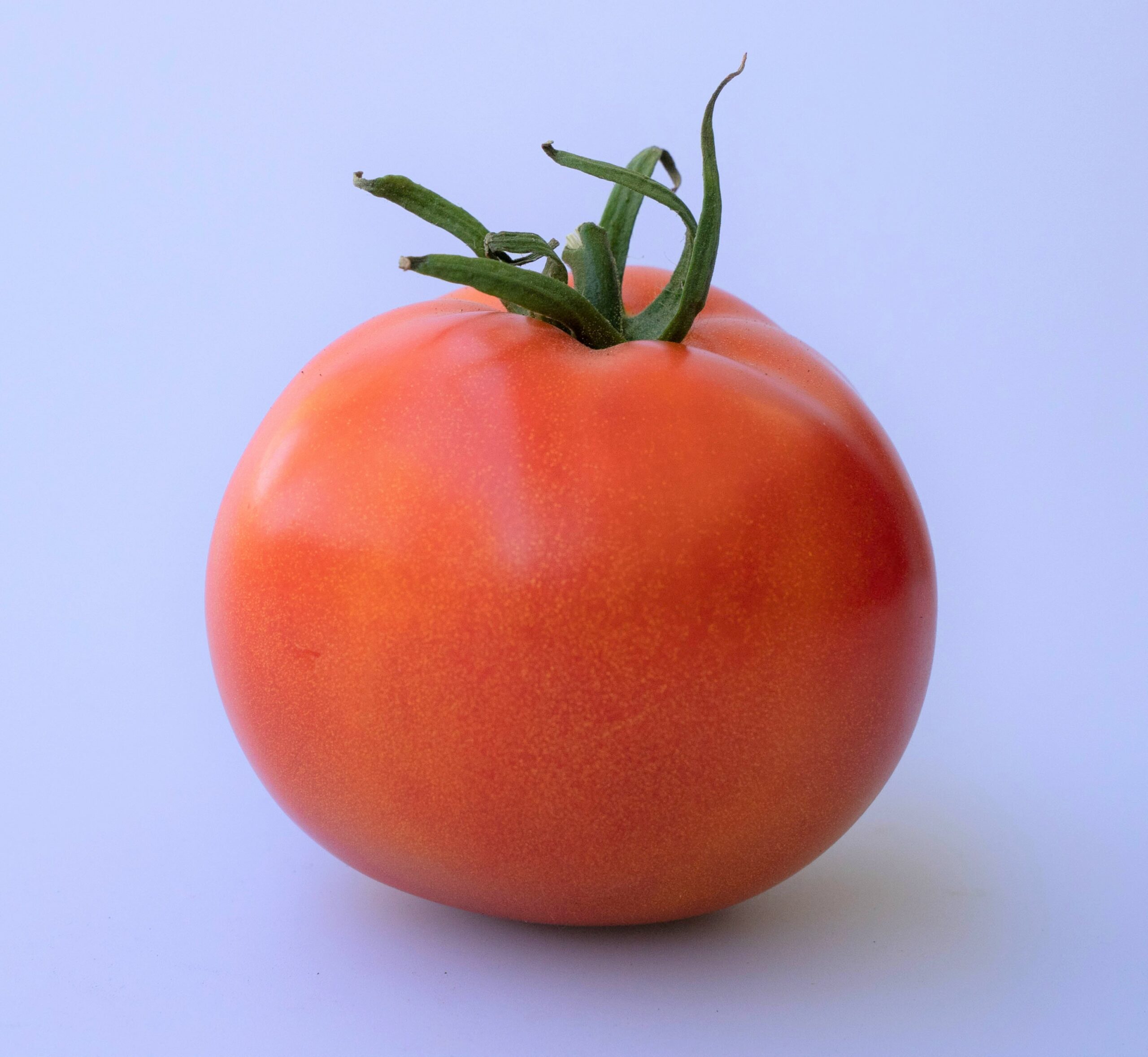 Canadian Beefsteak