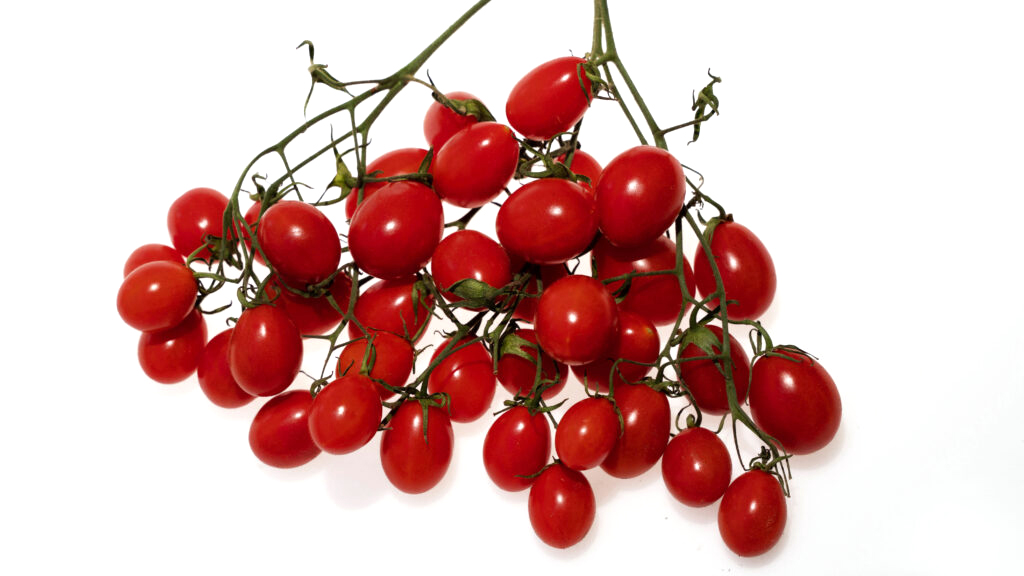 Honey Bunch Red