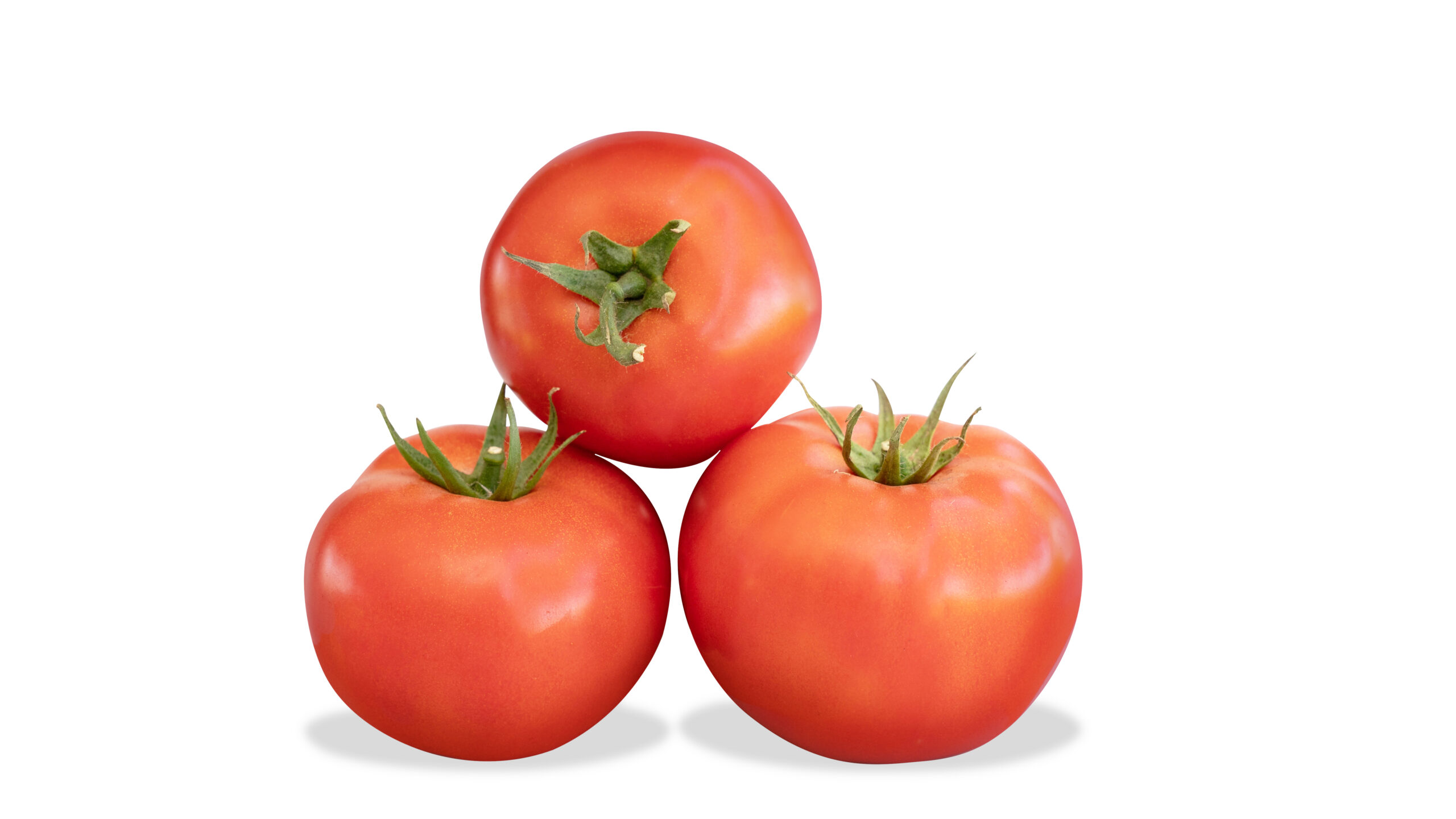 Jersey Beefsteak