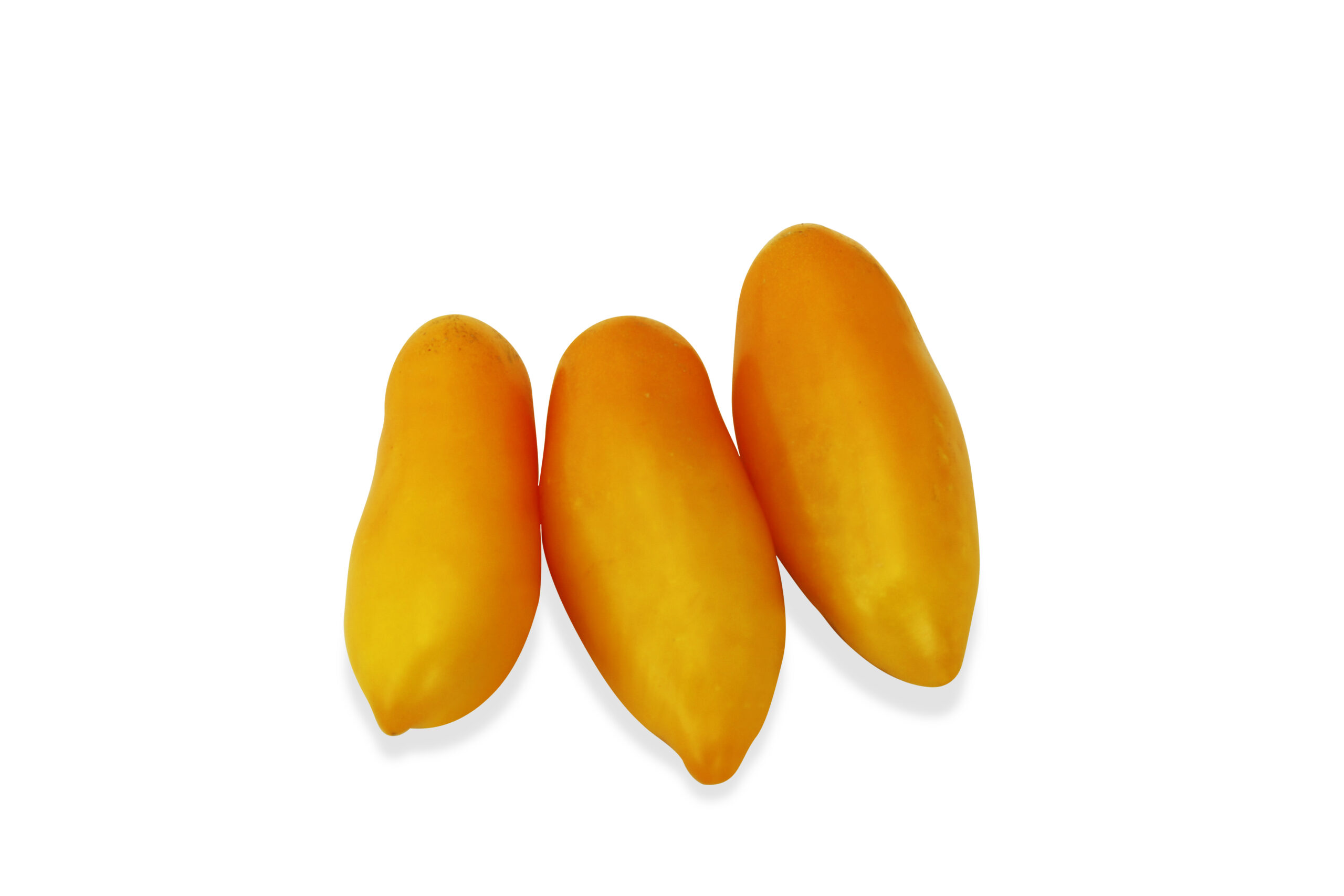 San Marzano                        (Yellow)
