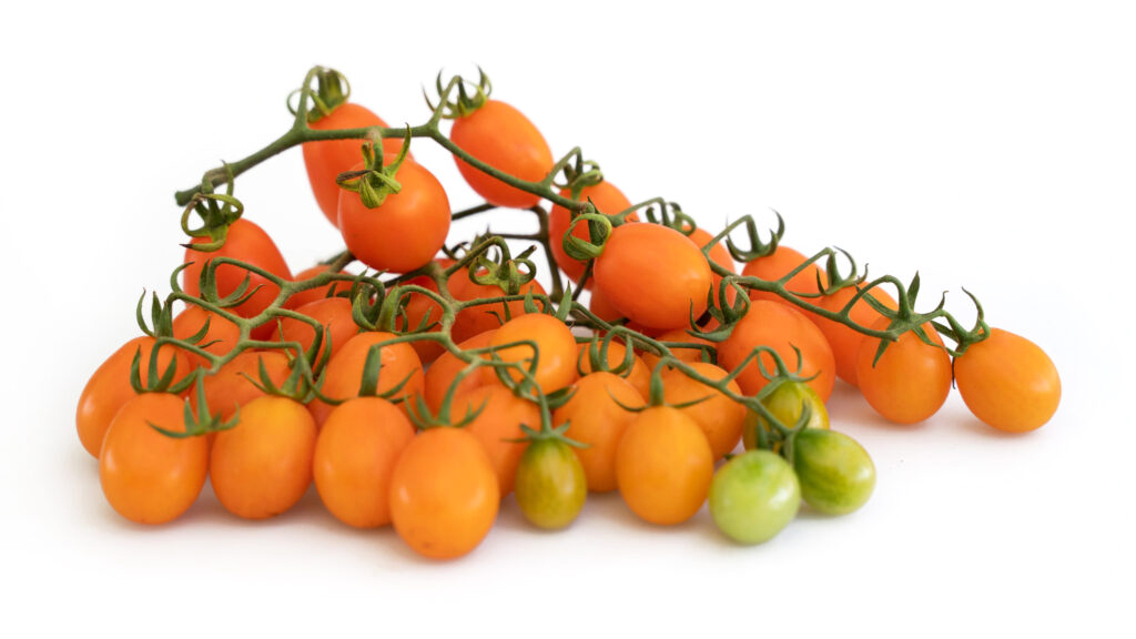 Tangerine Grape