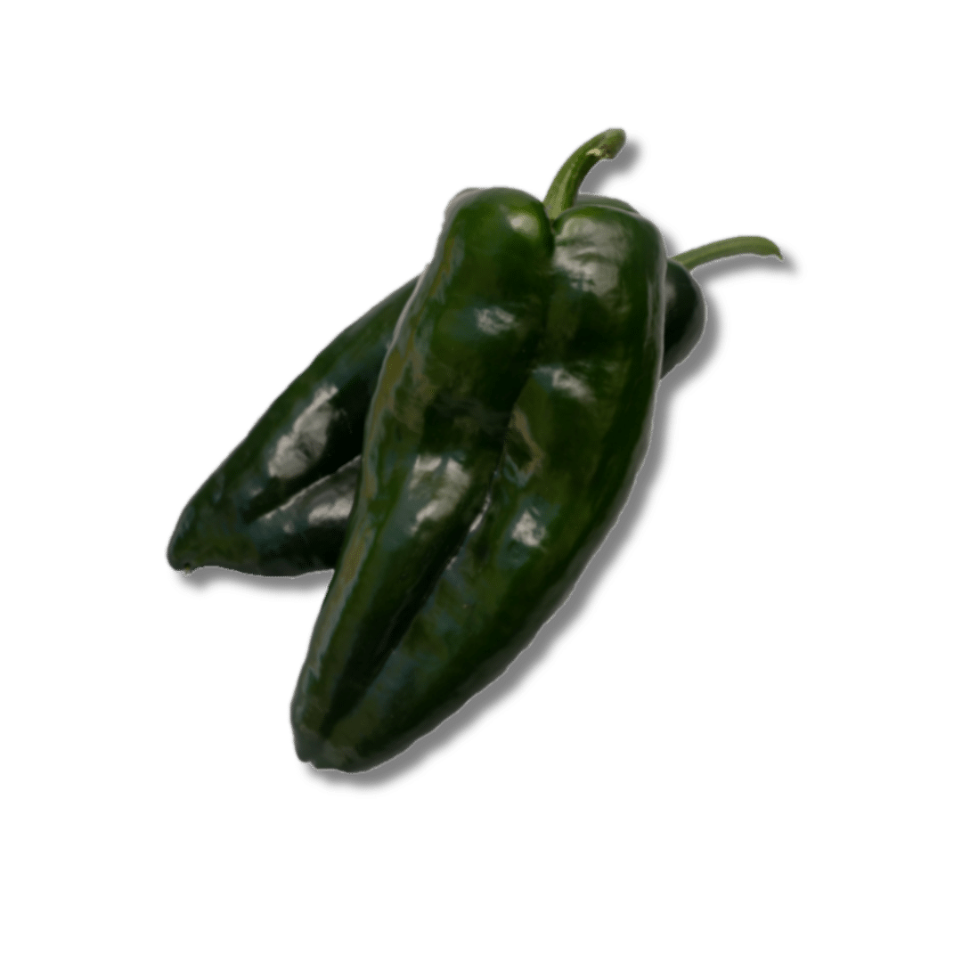 Masivo
