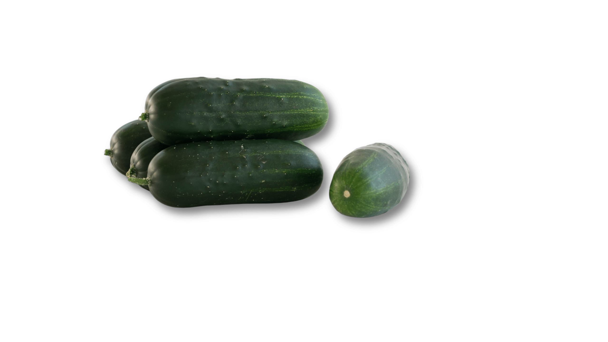 Panuco (Parth)
