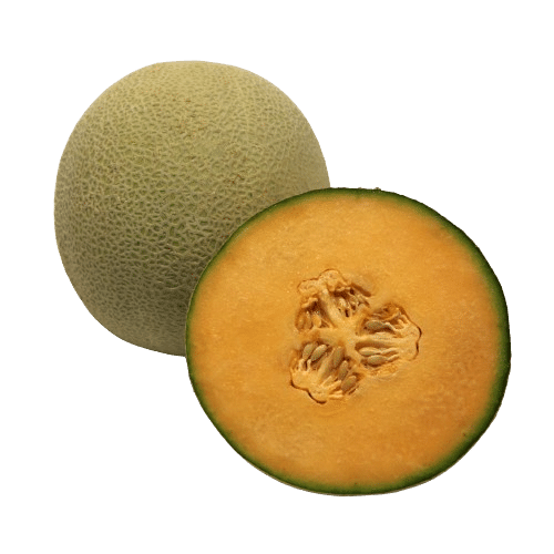 Lemoncello