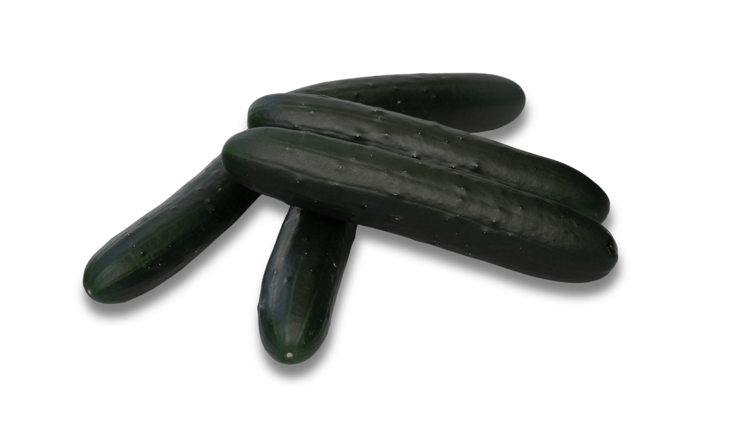 VC21013166 (Parth)