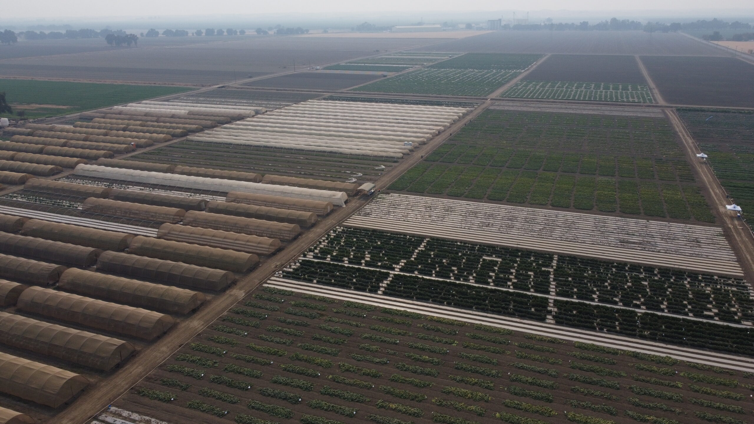 Sowing your Future - Usagri